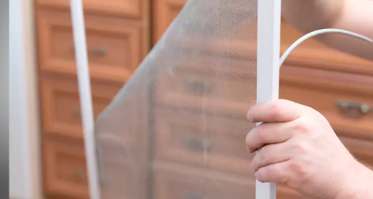 Privacy Mesh Screen Door Installation in East Palo Alto, CA